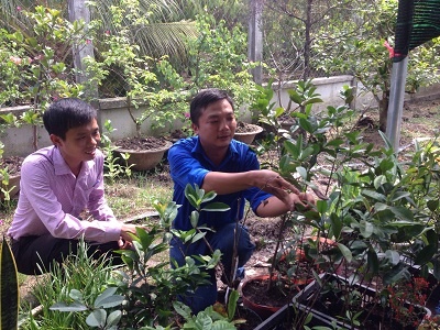 Anh Nguyễn Tân Cường thử nghiệm thành công trồng giống cây Cherry nhiệt đới 